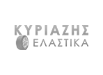 Υπηρεσίες WordPress Ιστοσελίδων